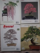 BONSAI  EUROPE TODAY  CZASOPISMA 4 szt