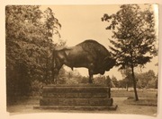 SPAŁA - Żubr w parku, CZYSTA, BARDZO NISKI NAKŁAD - TYLKO 298 SZTUK, 1961 r