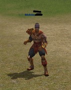 Mt2009 - Woj Body Aura P | Mental 70lvl 