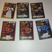 12 Kart panini fifa 365 adrenalyn 2017 update edition