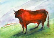 Czerwony Byk . Akwarela 21x30 cm, ręcznie malowana