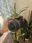 Sony SLT-A33 | 45 623 zdjęcia | 18-55mm | Torba | Stan bardzo dobry