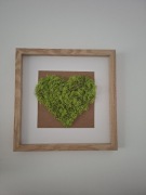 Obraz z mchu chrobotek 