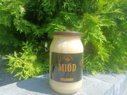 Miód rzepakowy zbiór 2025 100% świeży, naturalny