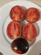 Pomidor Czarny Gargamel