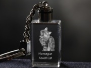 Norwegian Forest Cat brelok sześcienny Świecący