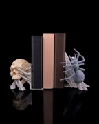 Czaszka w Sieci - Ekskluzywna Podpórka do Książek z Gigantycznym Pająkiem