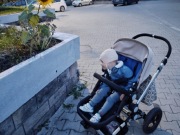 WÓZEK 2W1 BAOBAO NIEBIESKI + ADAPTER MAXICOSI