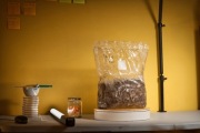 Soplówka Jeżowata Gotowe Podłoże 3.6 kg