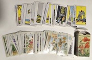 Tarot karty kwiatowy elfy Blumenelfen Tarot Laura Tuan GRATIS