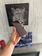 iPhone 13 Red - 95% Kondycja Baterii