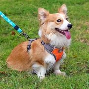 Treningowe mocne szelki dla psa rozmiar S 