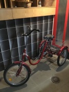 Rower rehabilitacyjny "TOLEK"