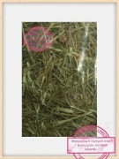 EKO TRAWY. Siano. Suszone gatunki traw. Konieczyna. Mniszek lekarski. 