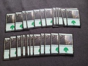 Zestaw 30x Forest Basic Land (Guilds of Ravnica)