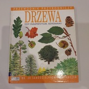 Przewodnik przyrodniczy drzewa