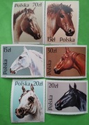 Znaczki pocztowe - Polska **