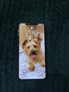 iPhone 11 pro max 64GB