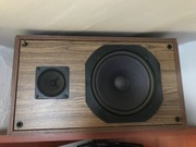 Kolumna tonsil sprawna