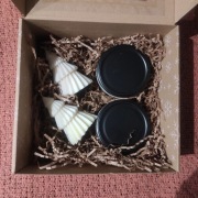 Zestaw świec sojowych, Robea, kolekcja Essence i Sweet Time, świąteczny