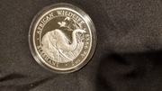 Słoń Somalijski 2 oz 2018 moneta Somalia Elephant Ag9999  (2017)