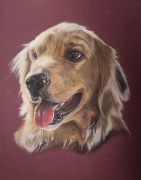 Portret psa kota ze zdjęcia na zamówienie