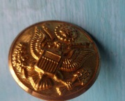 Guzik USA wojskowy złocony mosiądz wz 1902 Ameryka