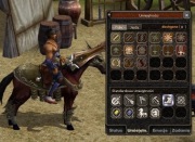 Metin2009  Metin Metin2 MT2009 Wojownik 61 lv – Królestwo Shinsoo Aura P