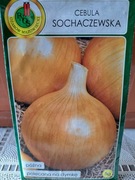 Cebula żółta 'Sochaczewska' nasiona 