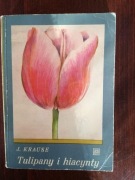 Tulipany i hiacynty. J.Krause