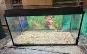 Sprzedam Akwarium 200L z pokrywą działającą !!!