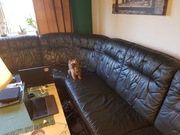 Narożnik Skóra Wielka ciemny zieleń 340x270