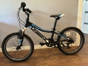 Rower Unibike Pilot 20