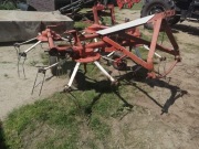 Pająk czterogwiazdowy 