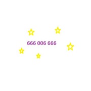 Platynowy numer 666 006 666