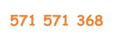 571 571 368 ZŁOTY NUMER ORANGE 571 571 368 OKAZJA 