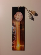 Zakładka Morze Bałtyckie muszelka