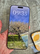 Apple iPhone 16 pro max 256 GB