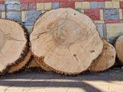 1 JESION 100/88/10 cm Blat Plaster Drewna Stolik Żywica Epoxy DIY Live Edge