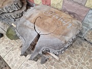 Plaster Drewna Orzech Włoski 74/66/9 cm Blat Stół Stolik DIY Wysuszony