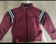  Bordowa bluza dla chłopca marki Puma rozmiar 104