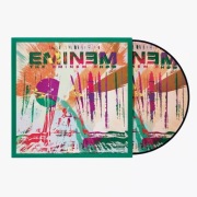 Eminem - The Eminem Show by Damien Hirst