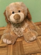 Piękny Pluszowy Miś