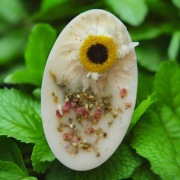 Nałęczowskie Kwiaty PACHNIDŁO Rześki poranek - wosk zapachowy mały medalion