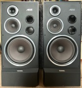 Kolumny Tonsil Altus 300 super stan!