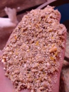 Pasza na kur niosek, bogaty skład, kaczek,gesi