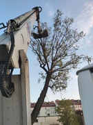 PODNOŚNIK koszowy 20m ! Wynajem Powiat Trzebnicki Wołów