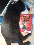 Minecraft Pamiętnik 8-bitowego kota