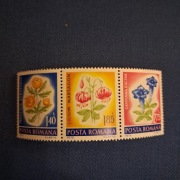 Rumunia  Kwiaty  seria  1973  czysta