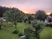 Działka ROD z domkiem 2026 – Aleksandrów Kujawski